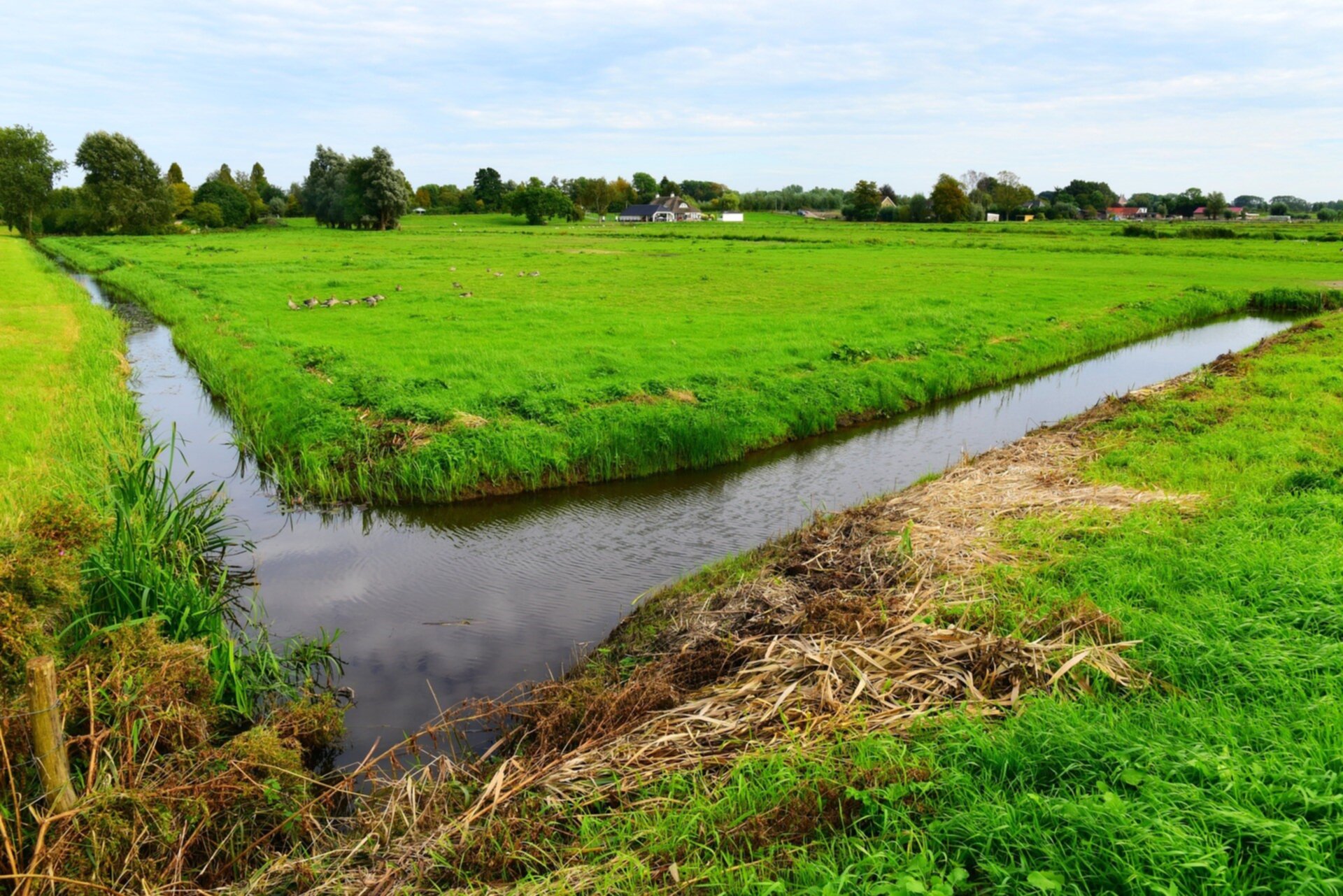 землянка блиндаж. земляной вал оборонительные сооружения. рвы в поле. царицынская оборонительная линия. глубокий ров.